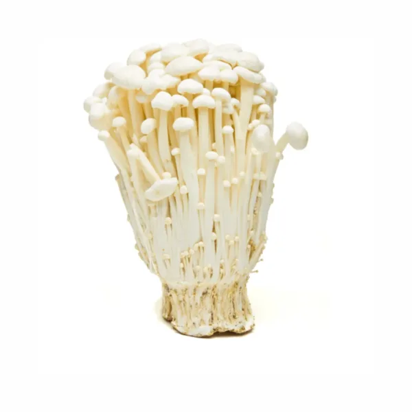 Mao Xiong Enoki Mushroom (4x100g) - Image 1