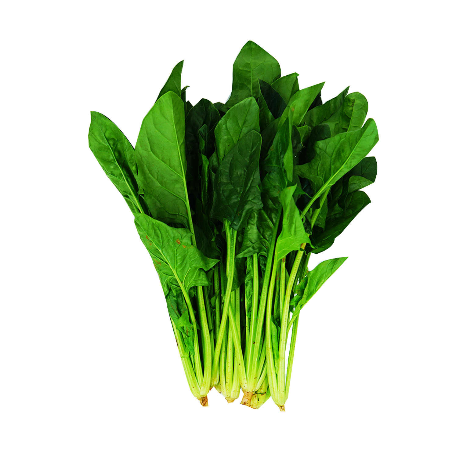 Local Fresh Spinach 200g – 300g – Shopifull