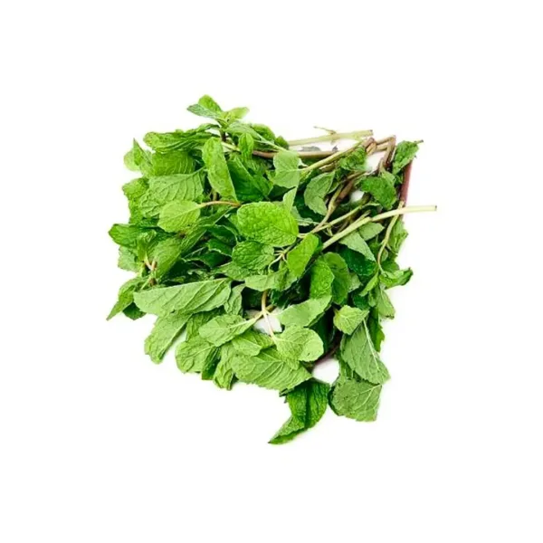 Malaysia Mint Leaf 100g - 150g - Image 1