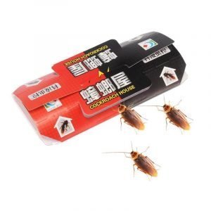Insect Baits & Traps