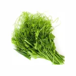 Longsu [Pucuk Labu] 400g - 450g