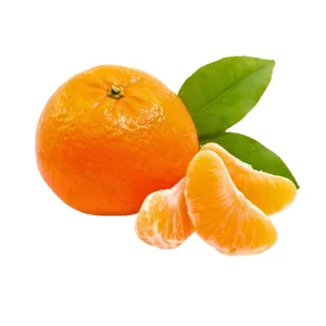 China Sweet Shantangju Tangerine Orange 1.150kg - 1.200kg