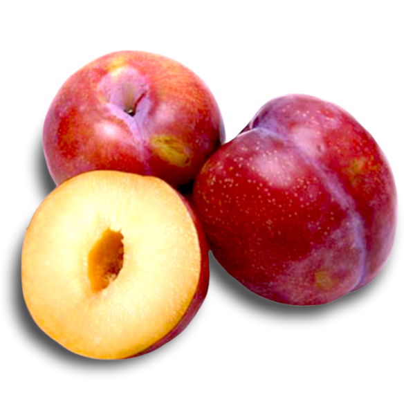 China Red Plum 600g-700g - Image 1