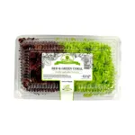 Red & Green Corel Lettuce - 2X200g