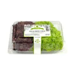 Red & Green Corel Lettuce - 2X200g - Image 4