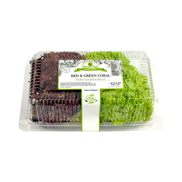 Red & Green Corel Lettuce - 2X200g - Image 4