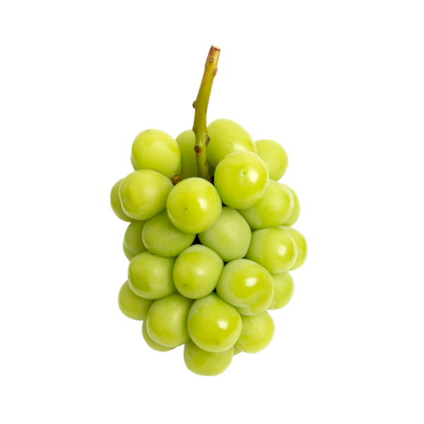 China Shine Muscat Green Grapes 900g-1000g China Fresh Shine Muscat Grapes 22 - 28mm - Image 1