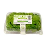 Romaine Lettuce