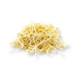 Bean Sprout 500g-600g - Image 2