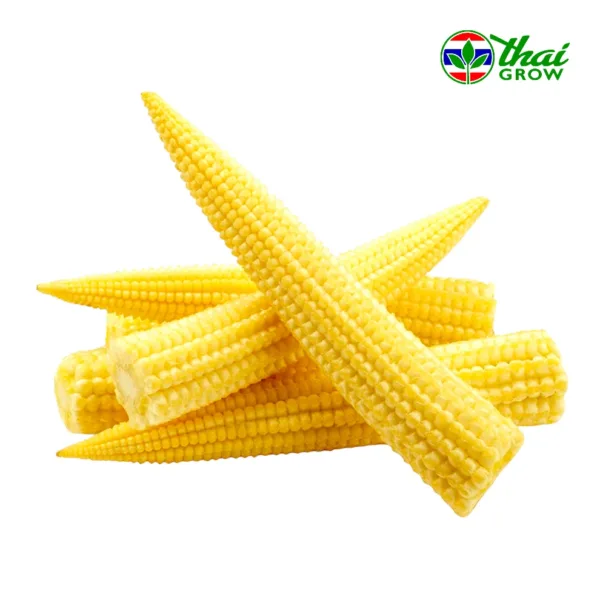 image-PhotoRoom - 2023-12-27T165251.806 Thailand Baby Corn - 150g - Image 1