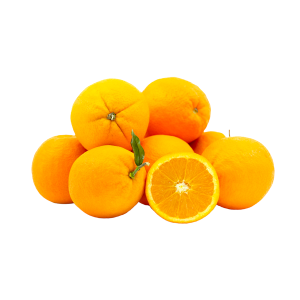 Egypt Valencia Orange 113s - 10Pcs Egypt Valencia Orange 113s - 10Pcs - Image 1