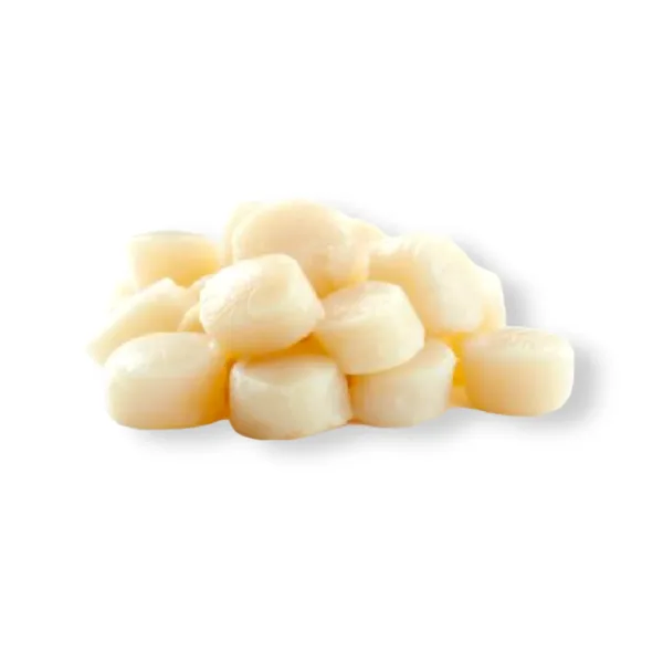 Iqf Scallop Meat 500g - Image 1