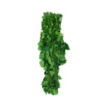 Local Cangkok Manis 1Pkt