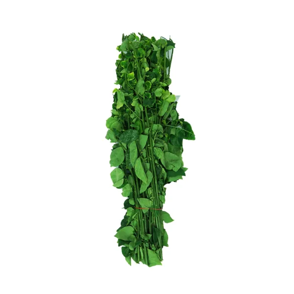 Local Cangkok Manis 1Pkt - Image 1