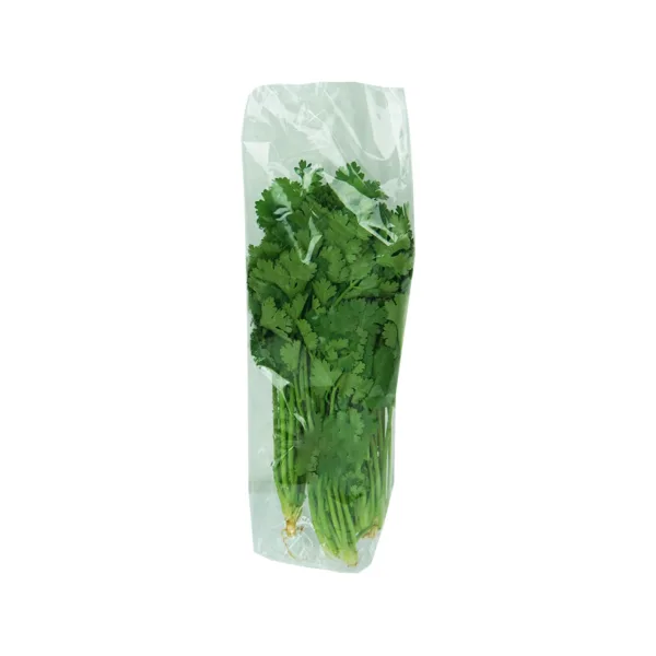 Chinese Parsely Coriander Leaf 150g - 200g - Image 2