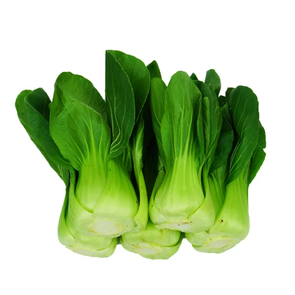 Hong-kong-green-pak-choi-400g-600g - Image 2