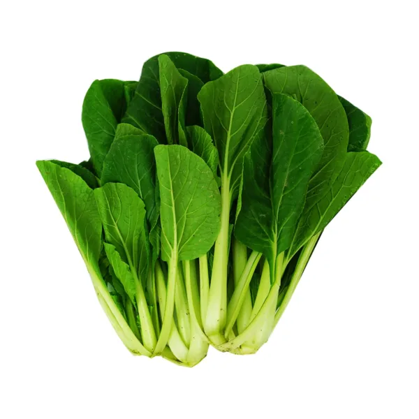 Local Pak Choy Pesticide Free 400g - 450g - Image 1