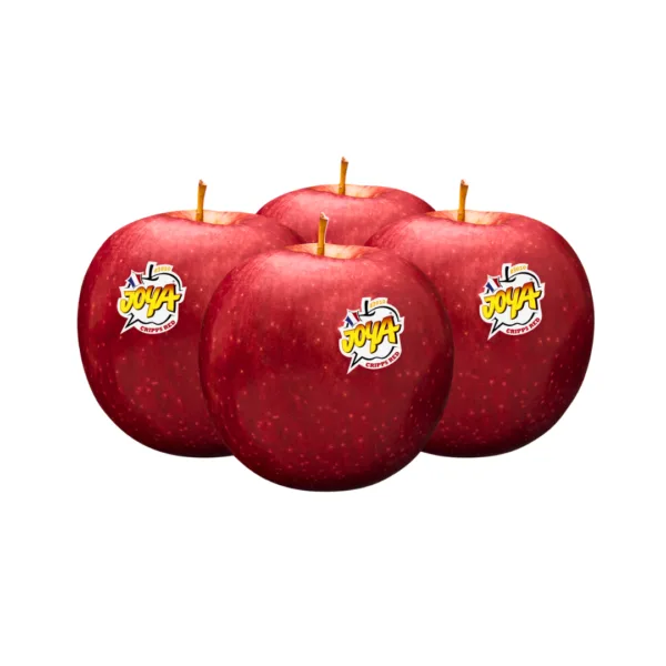 South Africa Crips Red Apple Joya 150s - 6pcs France Royal Gala Red Apple 150s - 10pcs - Image 1