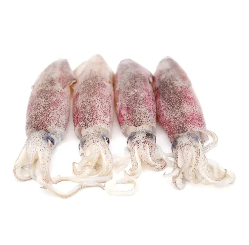 Screenshot 2026-09-24 105835 Fresh local Sotong (1.2-1.3kg) - Image 1
