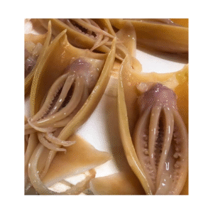 Fresh Brown Squid 250g - 300g