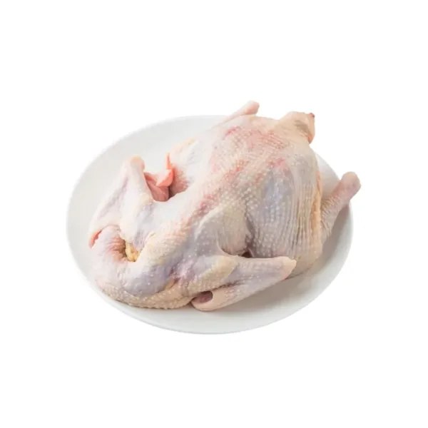 Local Old Chicken [Frozen] - 1Pcs - Image 1