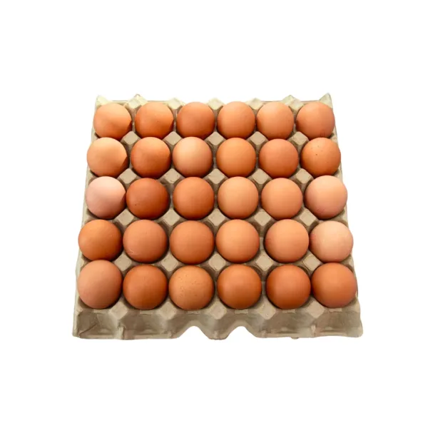 Local Fresh Egg S 30s - [Tray] - Image 1