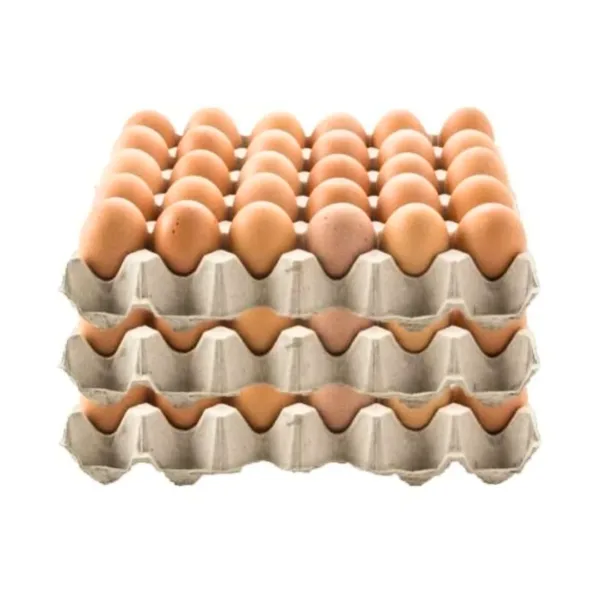 Local Fresh Egg [S] 30s - (3Trays) - Image 1