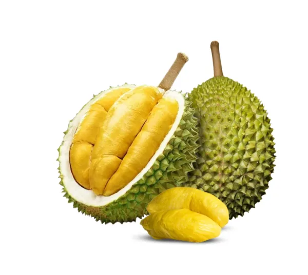 Durian Musang King (2.8kg-3.2kg) - Image 1