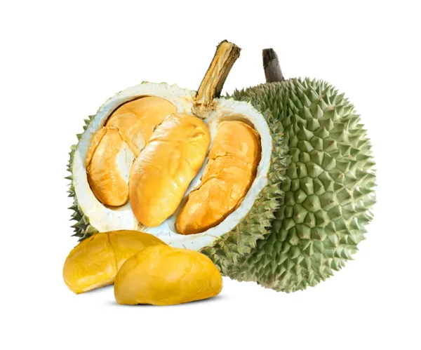 Durian Black Thorn (2.2kg-3kg) - Image 1