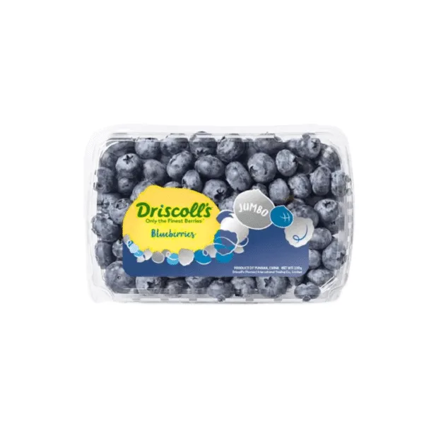 China fresh Blueberries - 125g - Image 1