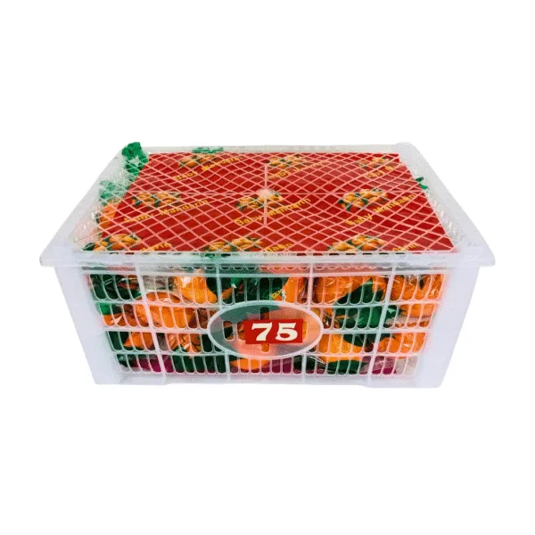 China Gxwogan Mandarin 9Kg - 1Ctn - Image 1