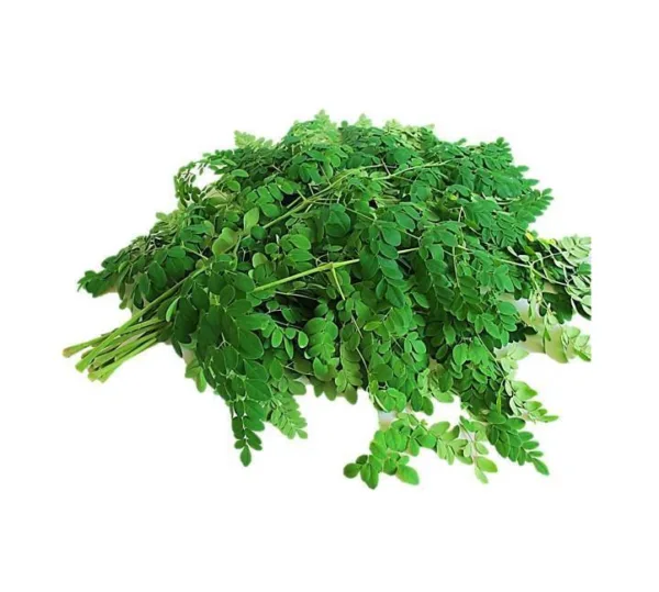 Mori Farm Fresh Moringa 300gm Pkt - Image 1